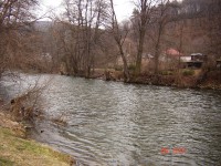 /album/river-hron/obrazokfifko-005-jpg1/